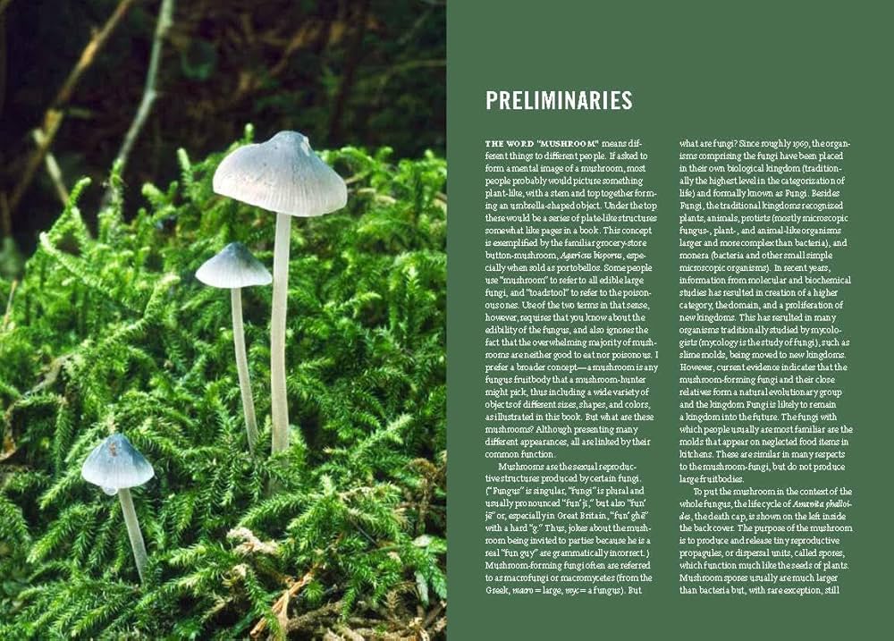 Mushrooms of the Pacific Northwest, Revised Edition (A